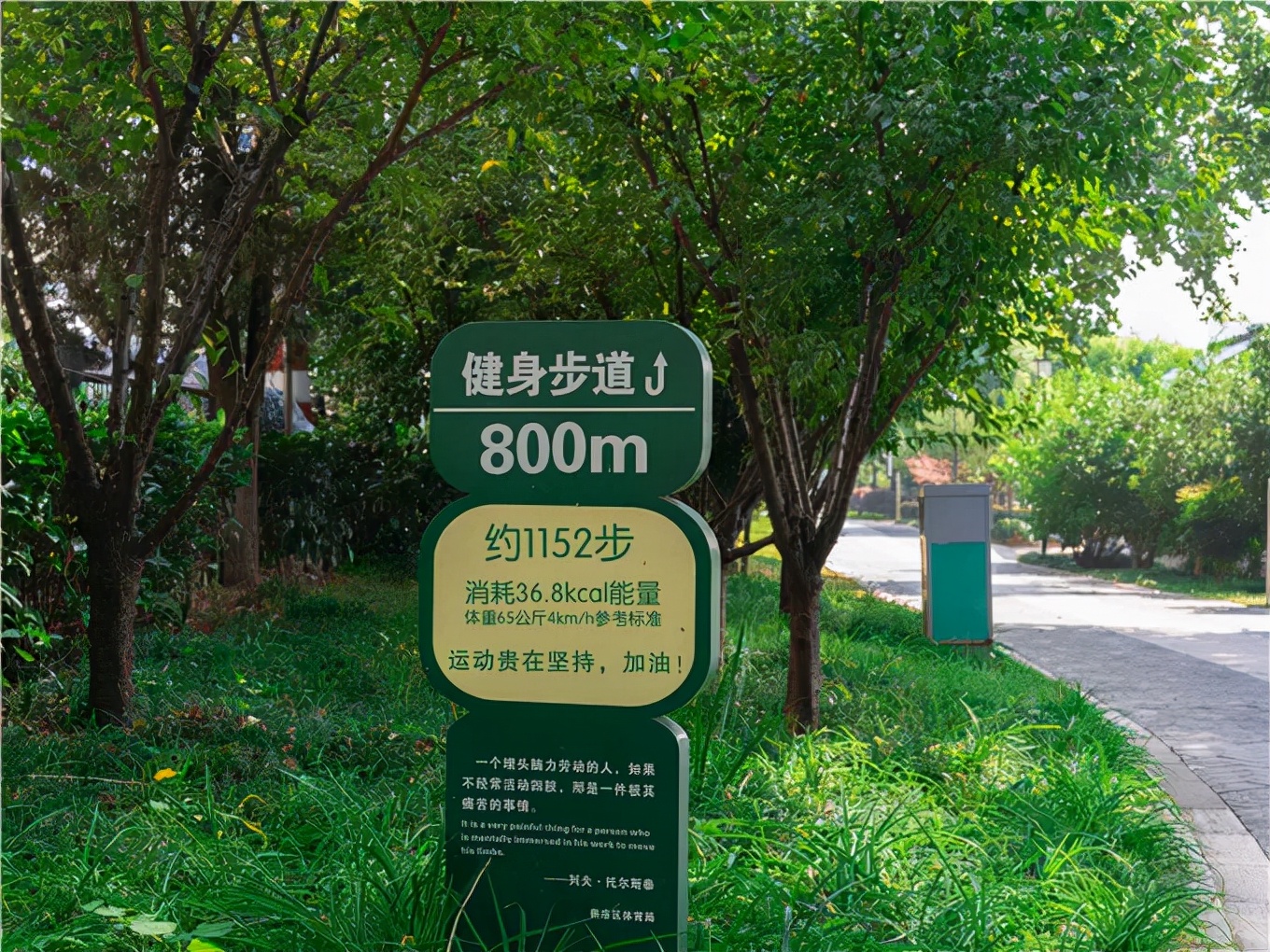 十大健身林荫步道,南京极美长江