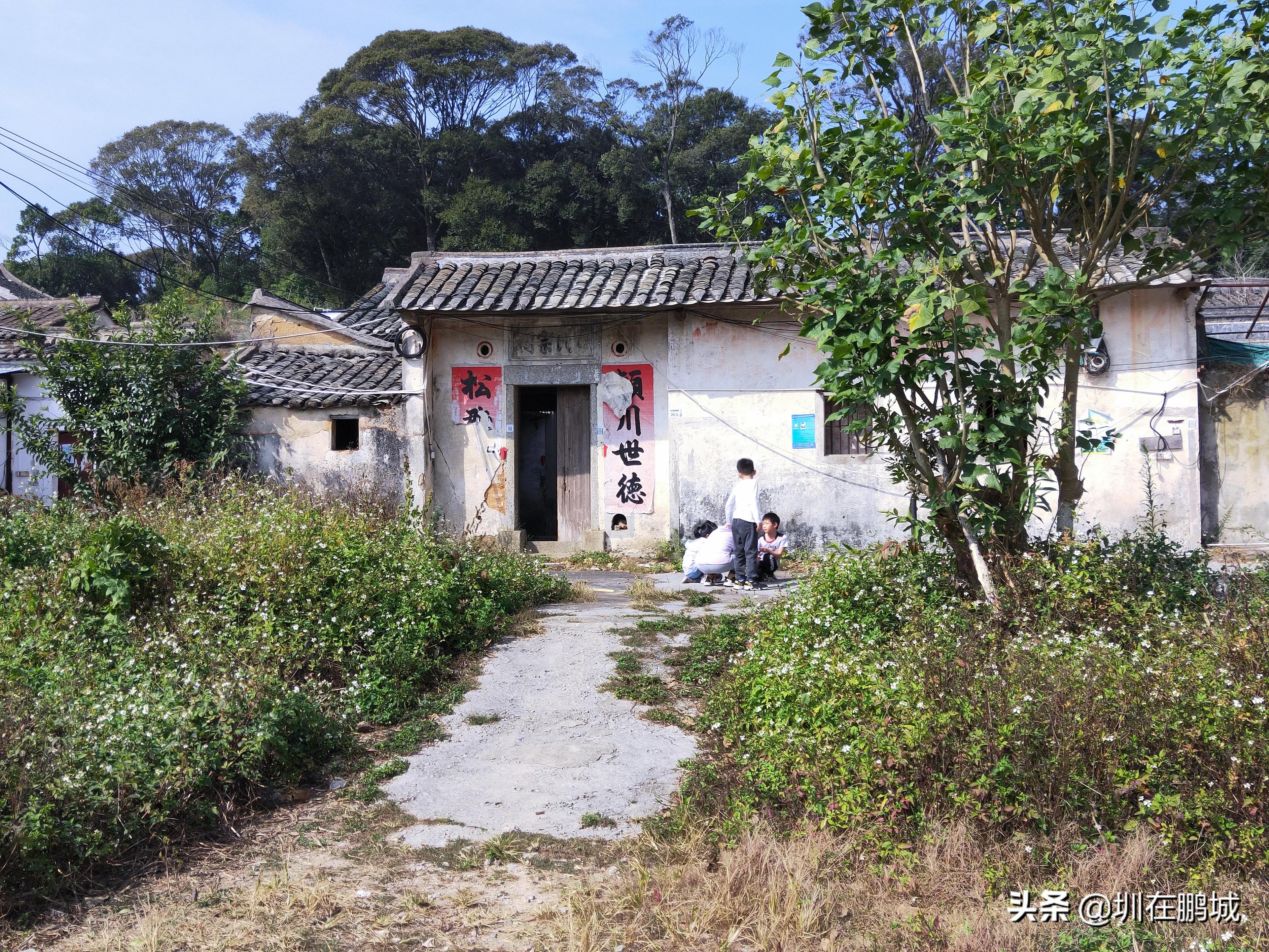 从马峦山穿越梅沙尖有多远,马峦山穿越坪山到大梅沙