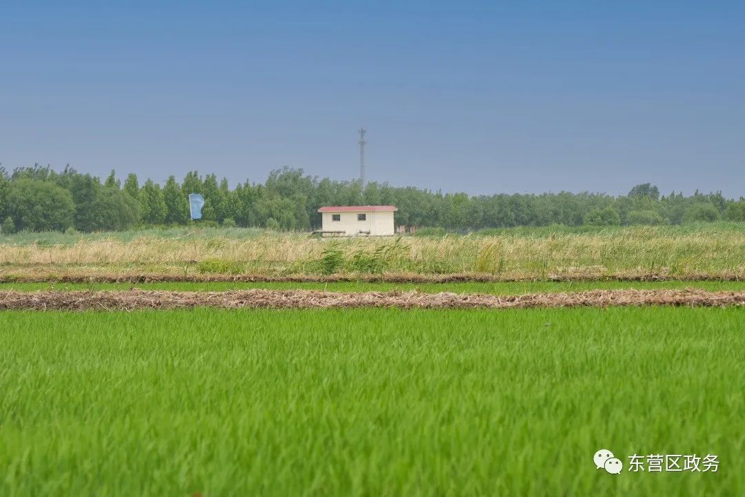 不负好时光田间地头助农忙,不负好时光春耕图