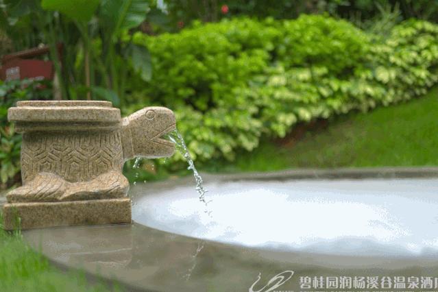 惠州度假温泉酒店推荐,惠州东南亚风格酒店