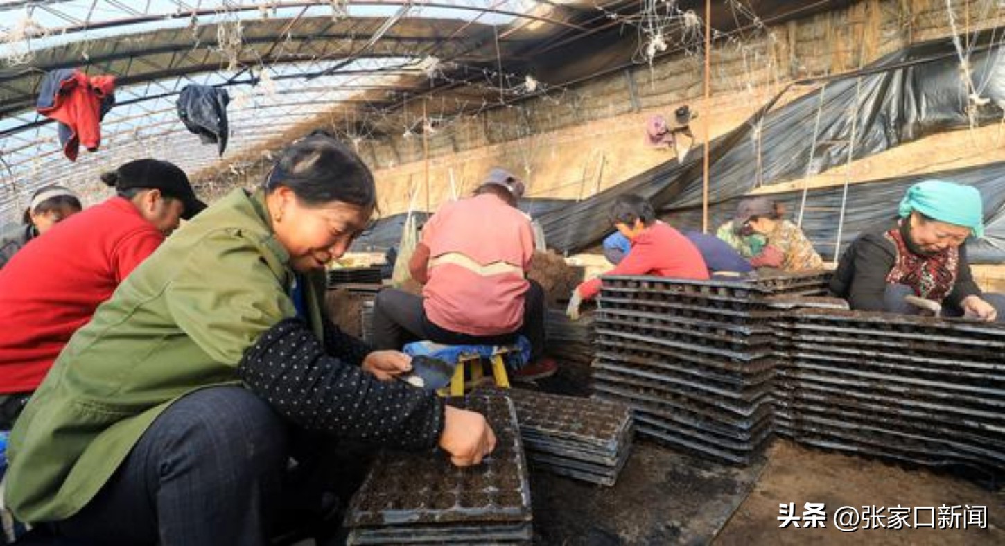 图说2022｜摄影记者镜头里的张家口这一年·陈飞