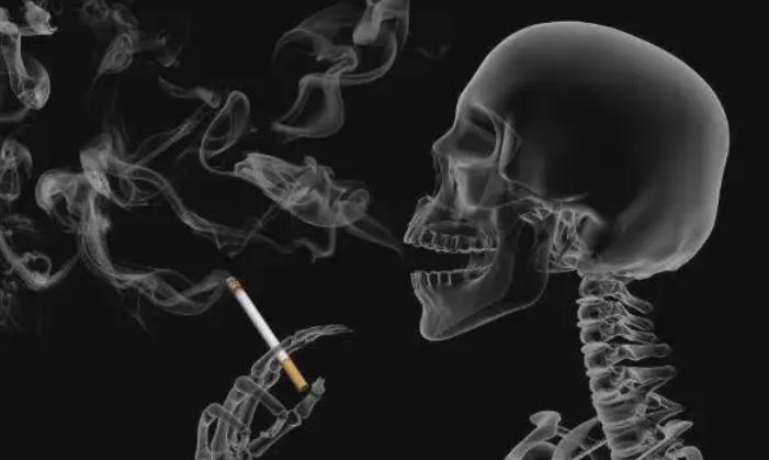 日本回收中国烟头价格,一公斤烟头能卖多少