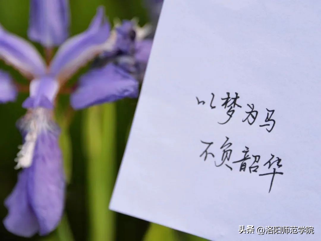 当洛师邂逅43种中国传统色……