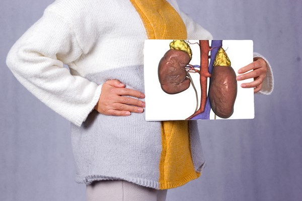 蛋白质吃多危害,蛋白质吃多了对身体有危害吗