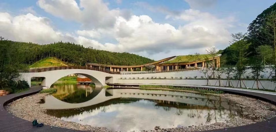 荣获奖项的喜报,棕榈奖名单曝光