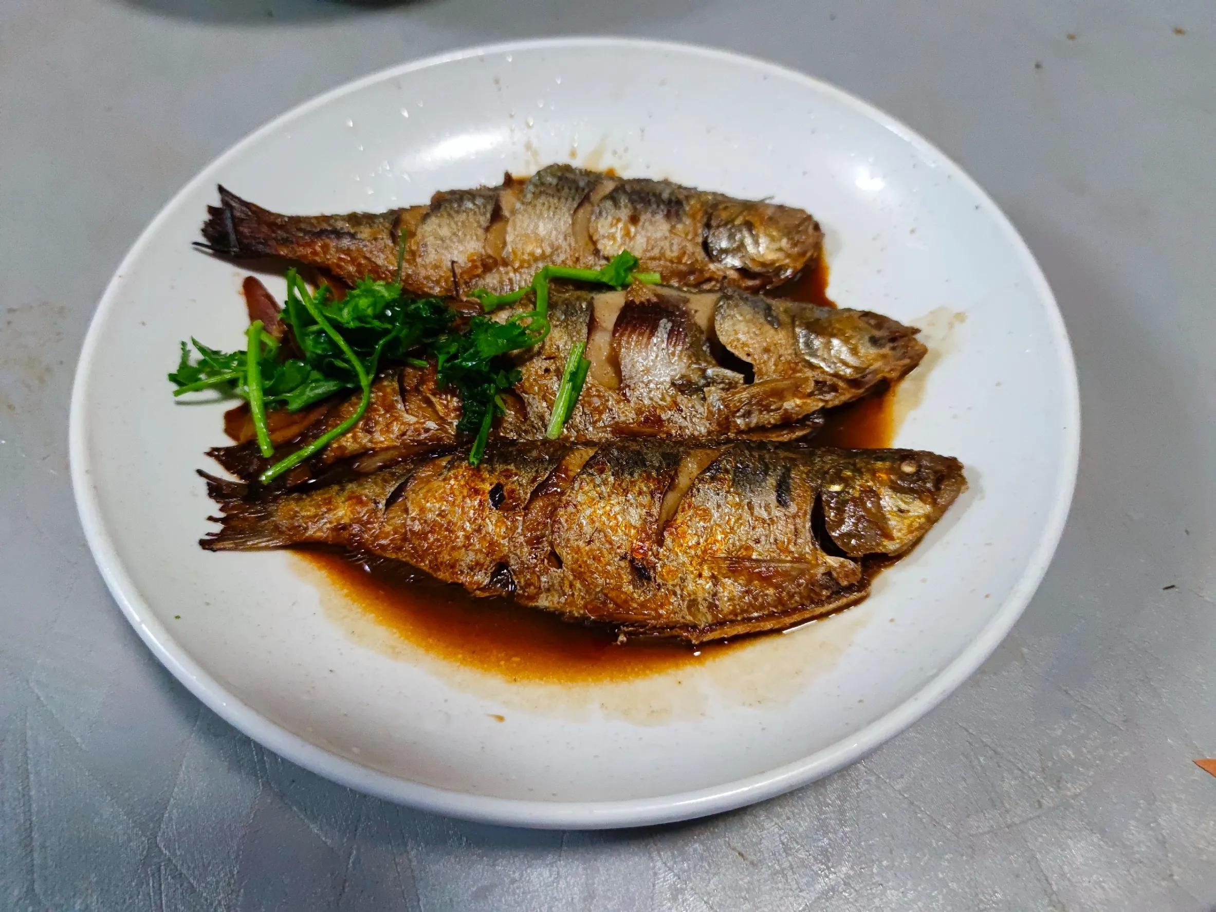 这个季节野生的海鱼有哪些,现在季节吃的海鱼有什么品种