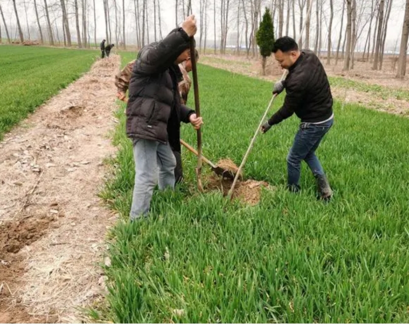 农村哪三件生意严查,农村开展大整治三种生意不能做