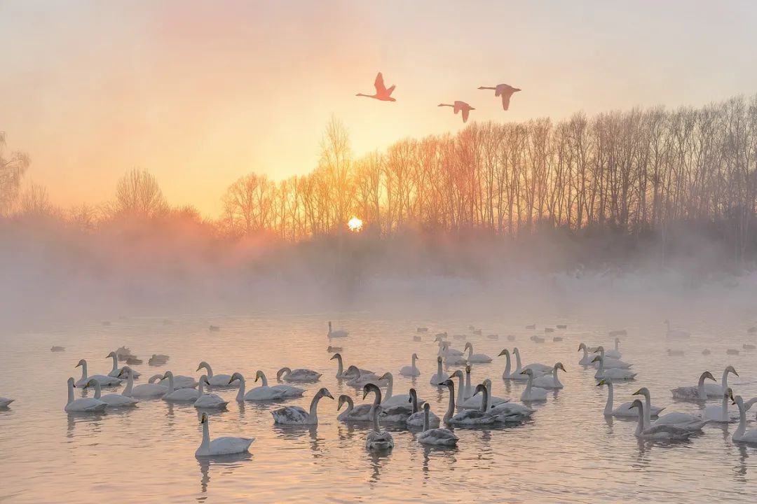俄罗斯到底有多冷搞笑版,俄罗斯有多冷科普