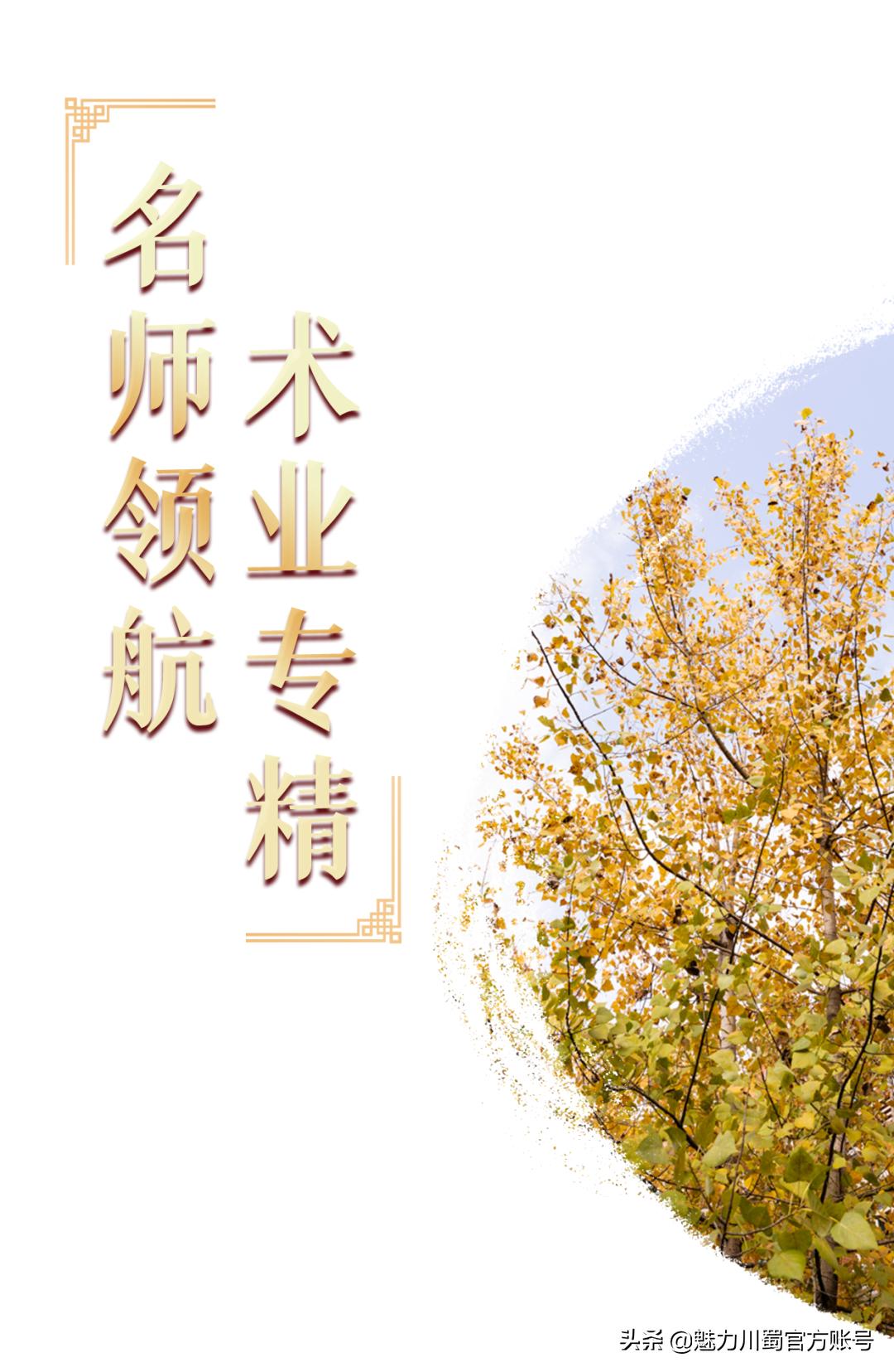 代码009，与未来快乐邂逅丨@中考学子，这里是绵阳中学实验学校