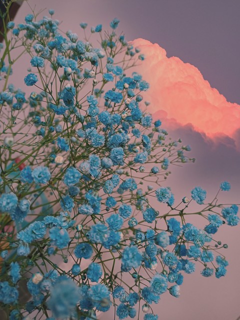 情人节来源基督教,白色情人节来源