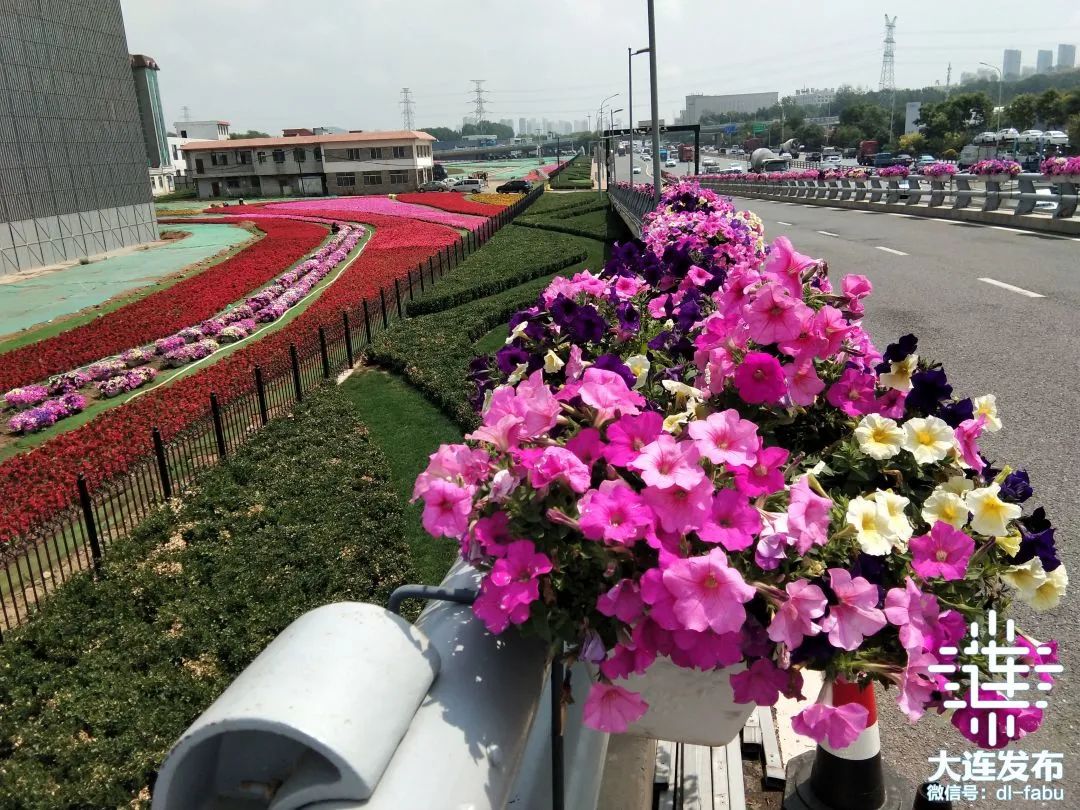 大连独一无二的花园,大连最新的花园