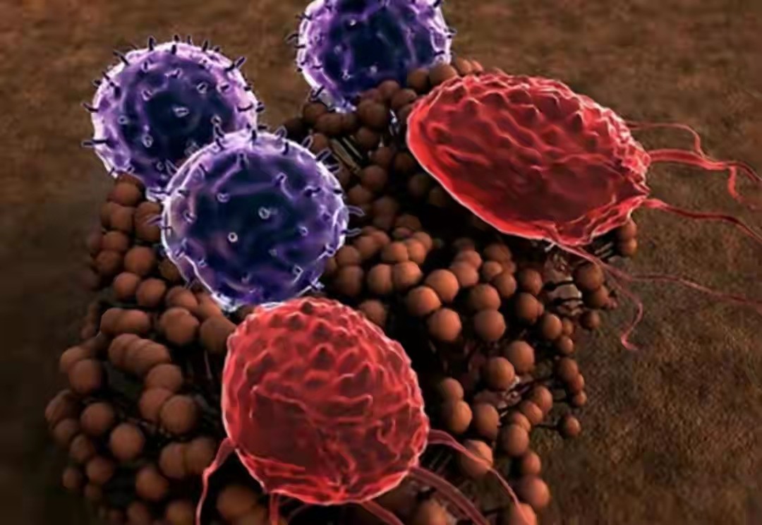 牛津大学研究：吃鸡或会增加3种癌风险，鸡肉究竟还能不能吃？