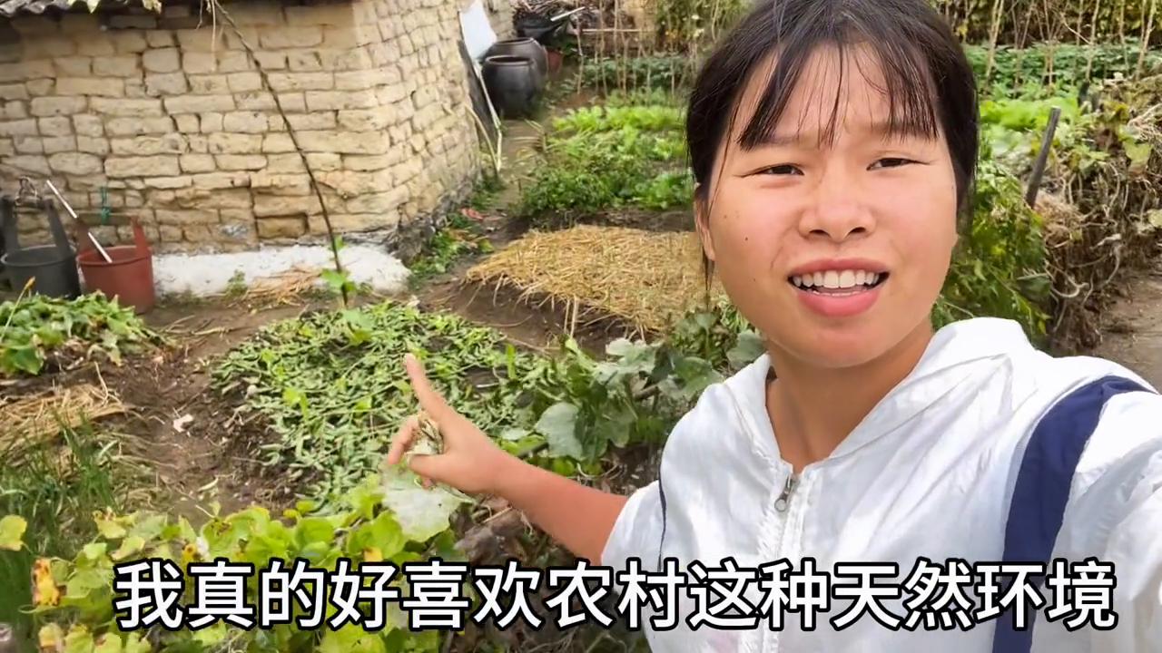 在湛江没文化能找到什么工作,在湛江没有学历找什么工作