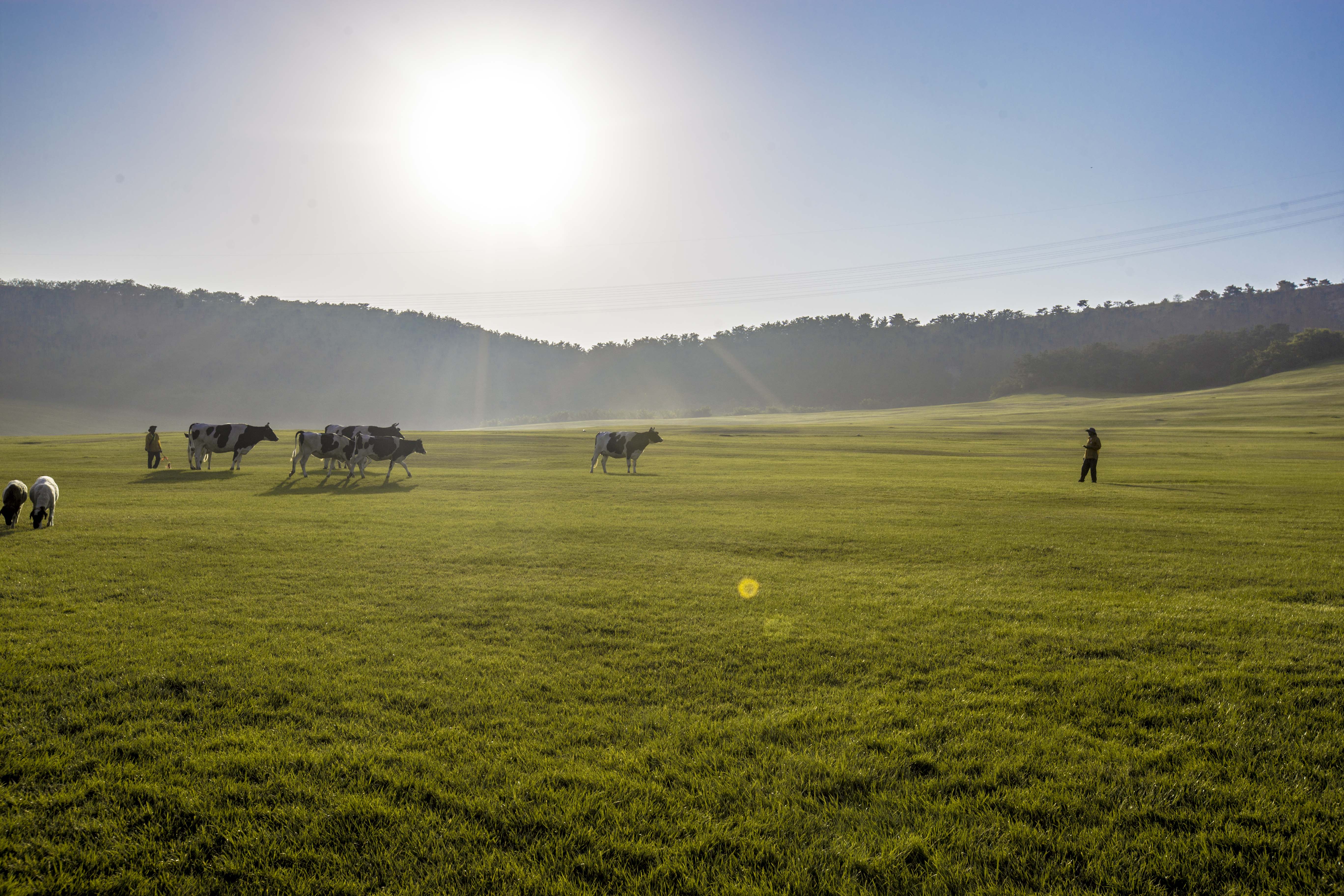「三寰牧场」45元玩转夜场，多项活动带你开启“星空音乐会”