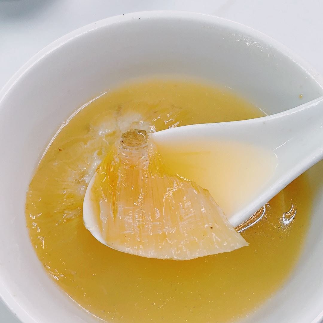 被割掉鱼翅的鲨鱼视频,鲨鱼割掉鱼翅还能活吗视频讲解