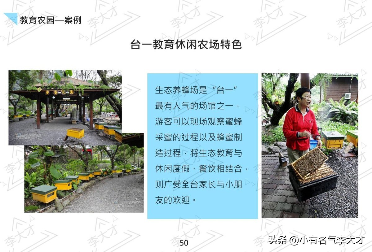 台湾乡村振兴战略案例,中国乡村振兴实施的成功案例