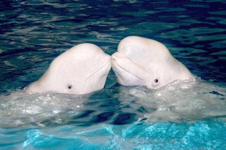 大连旅游攻略3天2夜住宿,大连旅游攻略视频