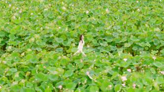 长沙赏秋去哪里,长沙第一波赏荷地图