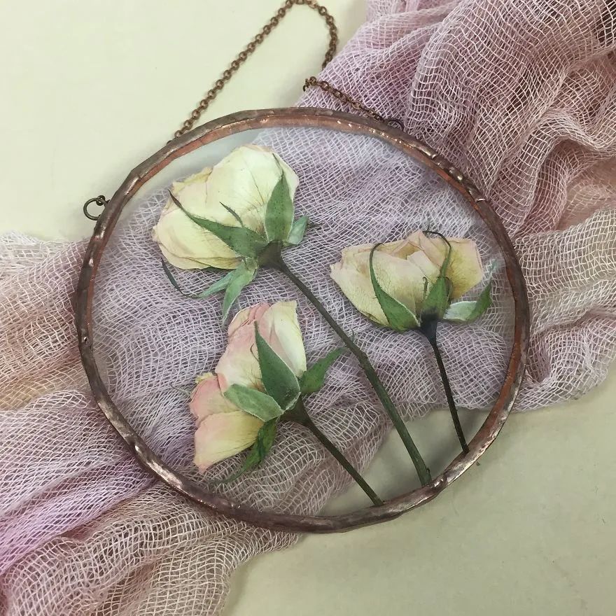 快来抄作业！她用3年时间，把植物标本做成了艺术品