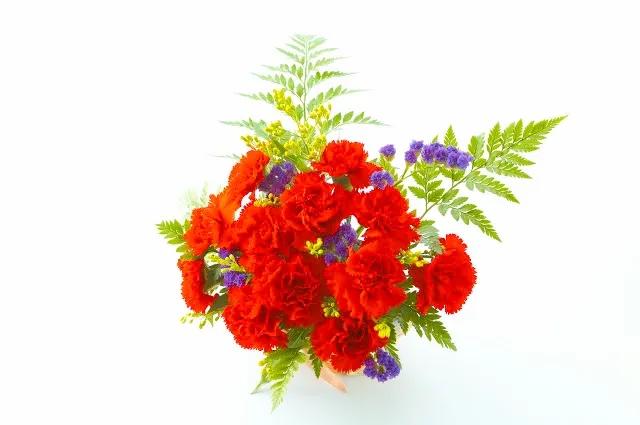 一花一木一世界一草一浮生,一花一世界一木一浮生朗读