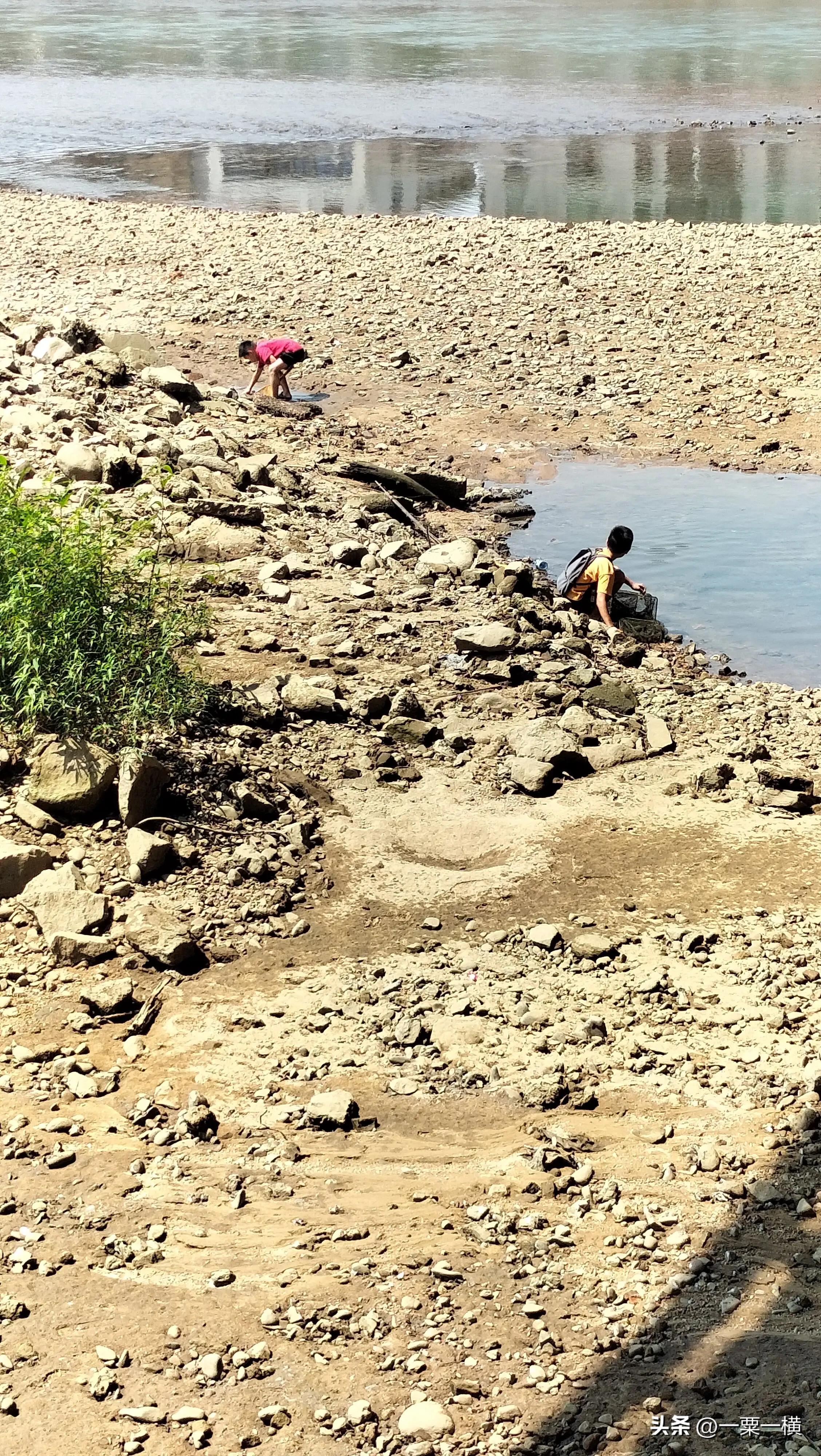 我哭的不仅仅是恩平