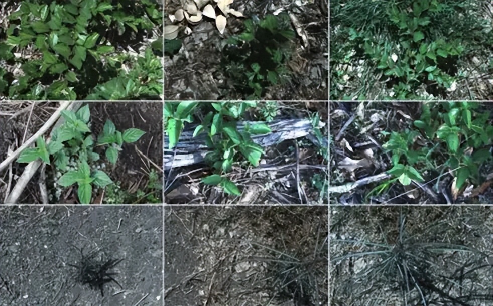 100+深度学习开源数据集分类汇总