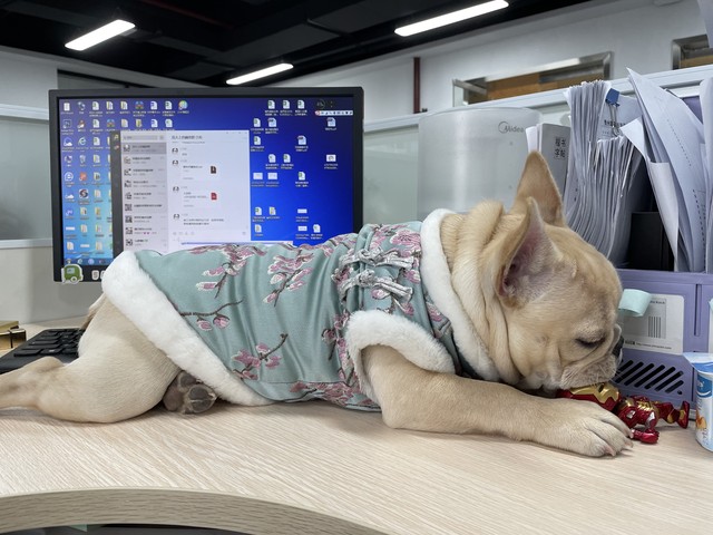 体制内能搞副业,体制内还能搞哪些副业呢