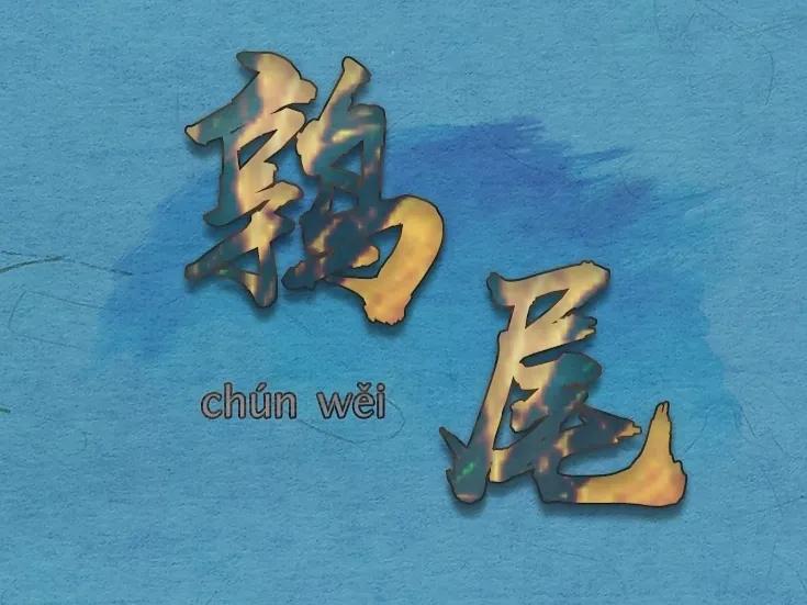 中国传统十二星座排名,中国的十二星座是什么样子的