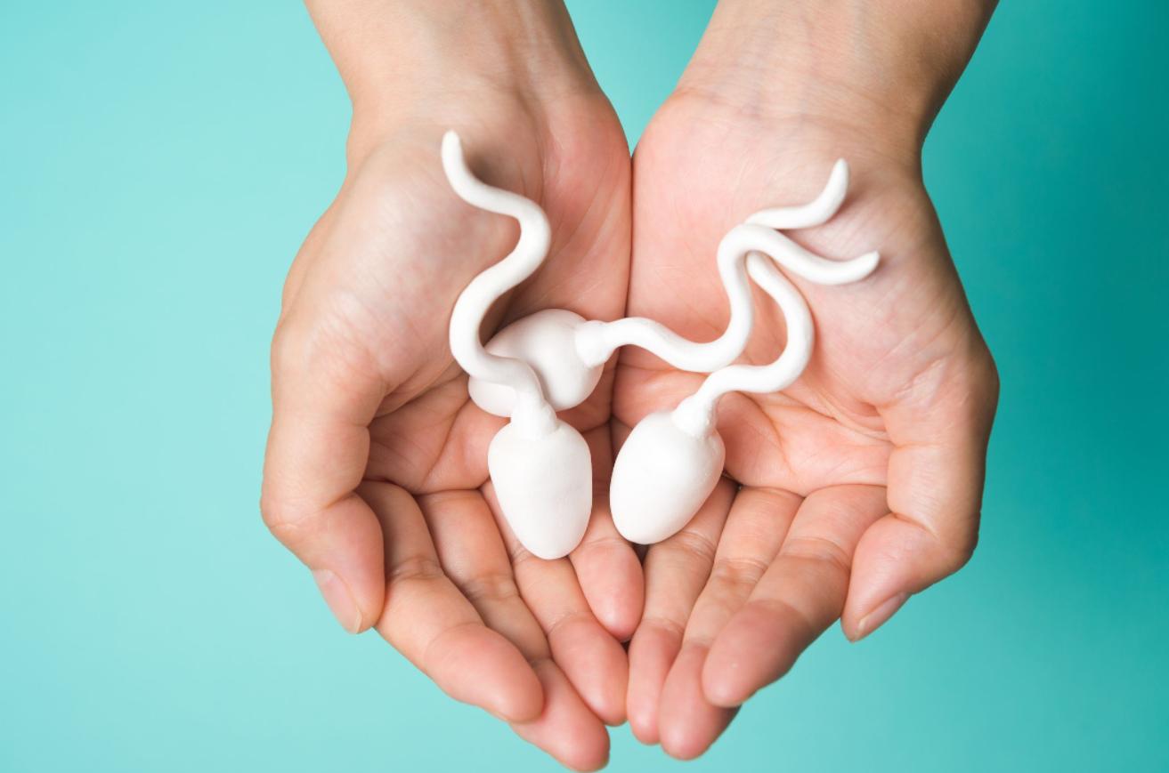 颠覆你认知的跑步,精子跑得快就一定与卵子结合吗