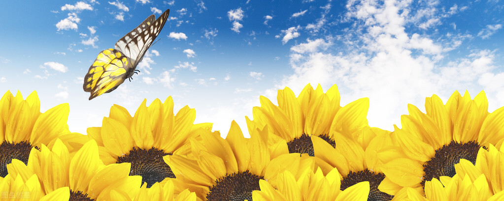 2022年运——狮子座（上升及太阳）