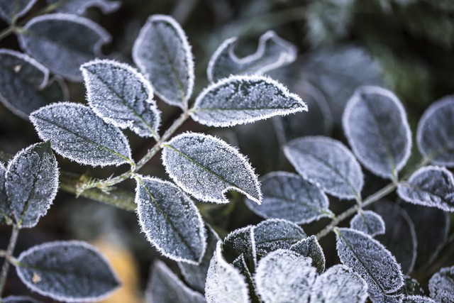 2022年联集:归梦