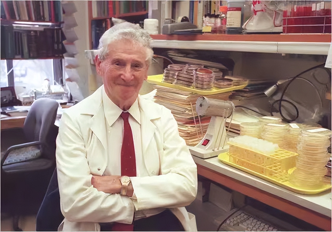 雅顿面霜加欧树精油,雅顿面霜涂嘴巴