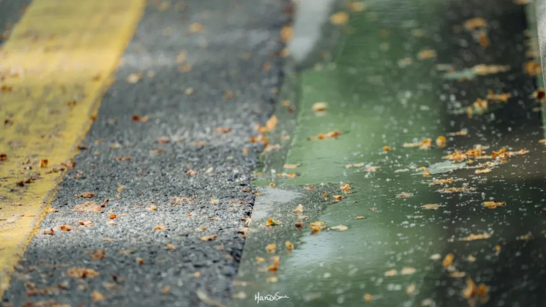 梧桐絮和石楠花,极限二选一