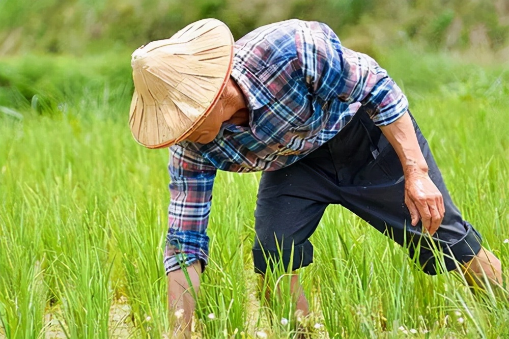 征地的社保如何保障,失地农民社保补偿找什么部门解决