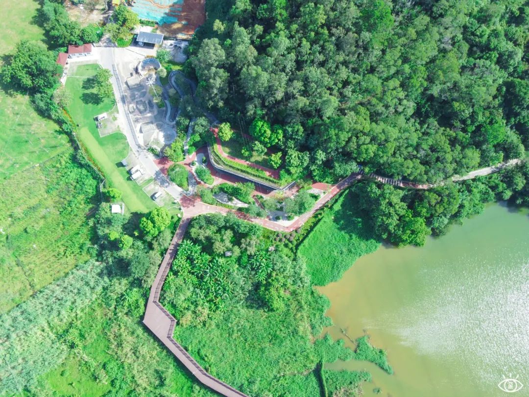 家住深圳必去的公园绿道,深圳环湖绿道好玩么