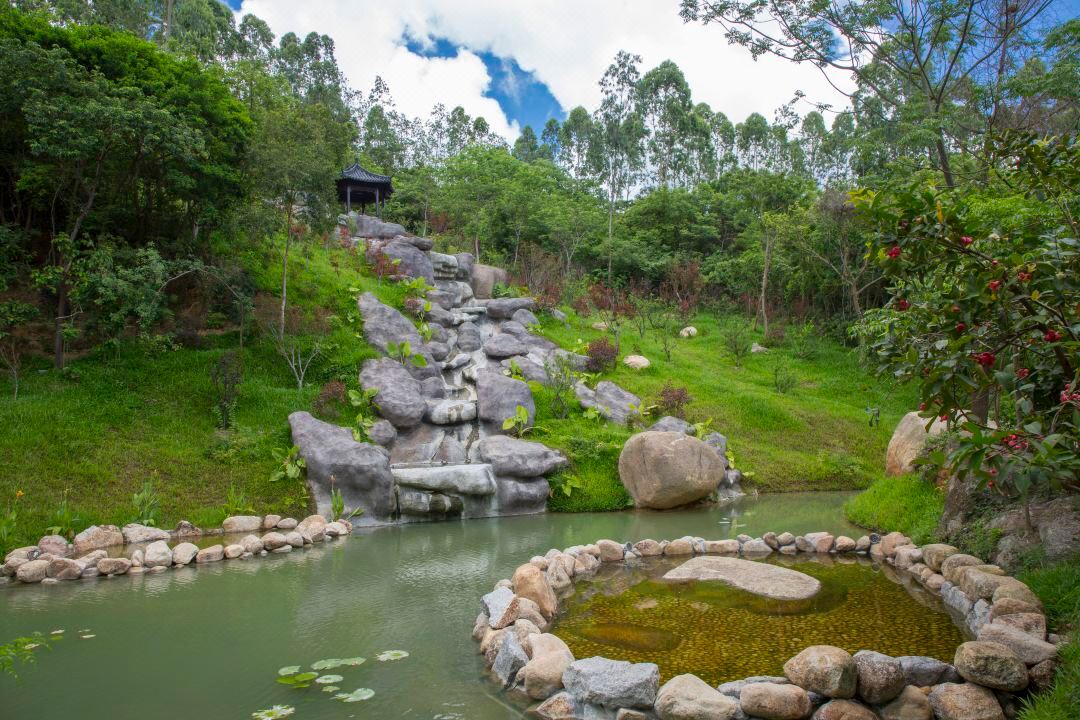 广东最值得推荐的温泉度假村,广东第一峰温泉是真温泉