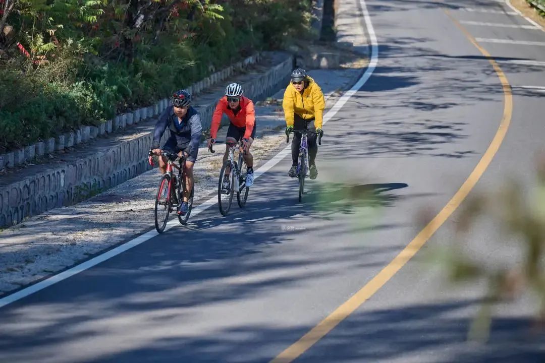 爱骑行最新版本,爱骑行2023