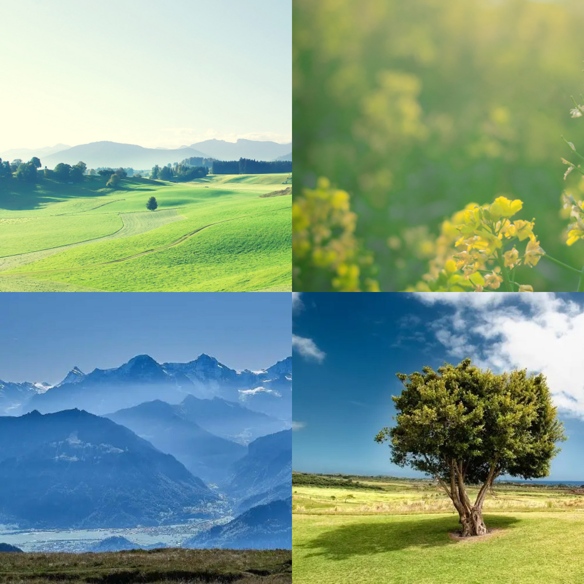 ps如何把几张图片拼接在一起,图片怎么样拼接在一起