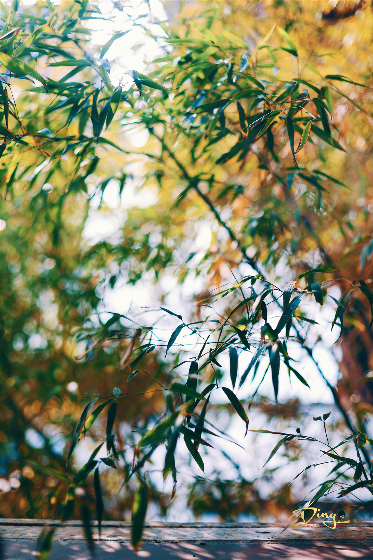 苏州梦里江南二日游攻略,苏州自驾游太湖最佳景点推荐