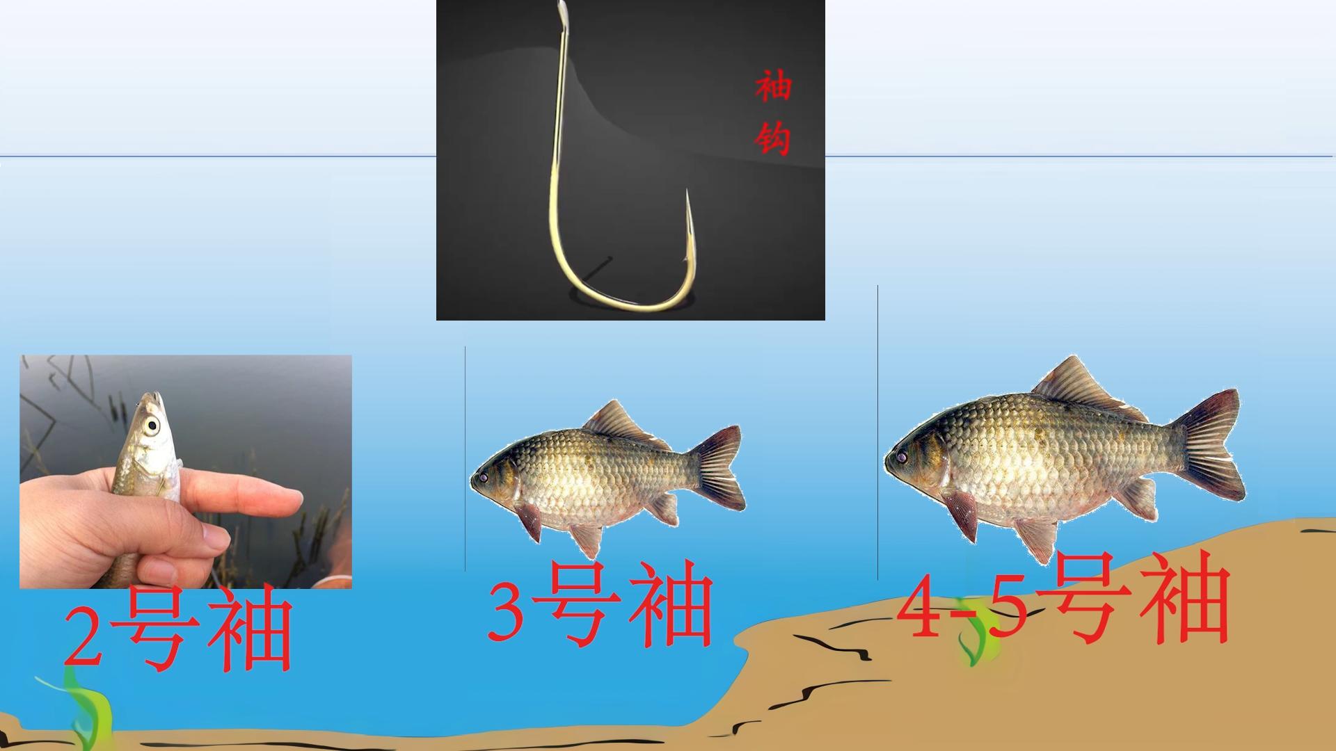 盘点野钓最常用的四种鱼钩,野钓鱼钩技巧