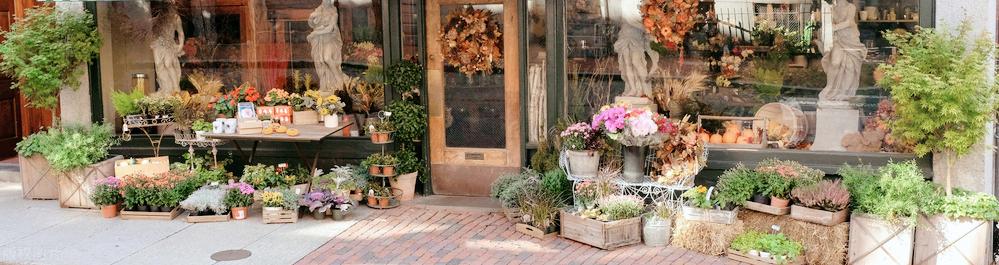 开花店的市场前景分析,花店的创业前景怎么样呢