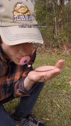 老外用虫子接吻器狂亲蚯蚓，连苍蝇路过都要被嘬两口