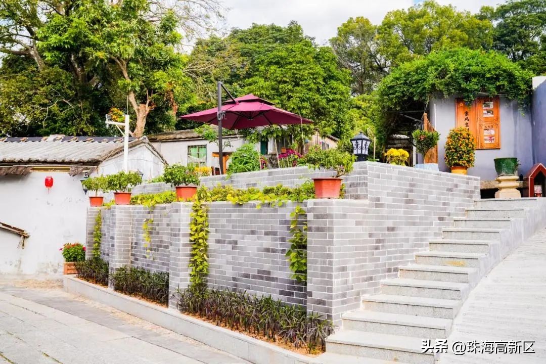 家门口的公园也有别样的风景,家门口的超美公园