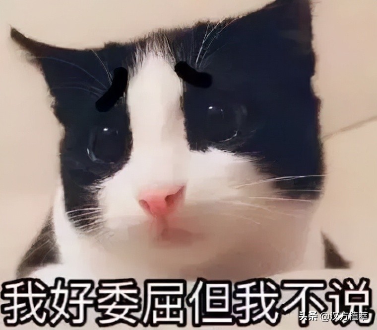 冬天来了皮肤红好痒,冬天来了脸上干燥