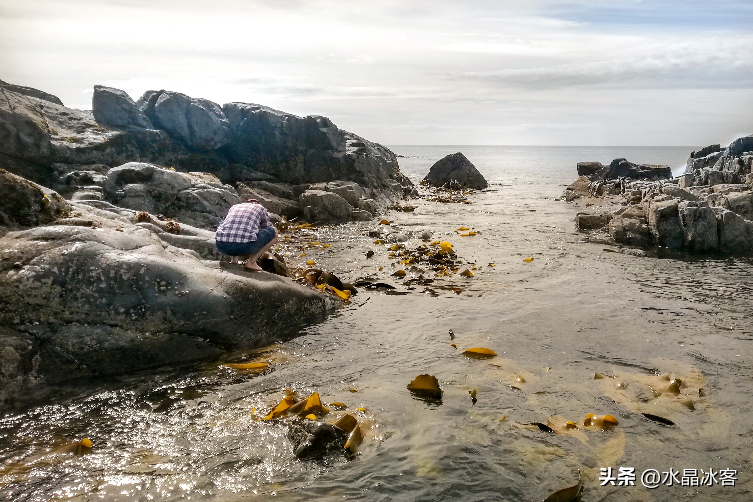 南岛新西兰之旅,新西兰之南岛
