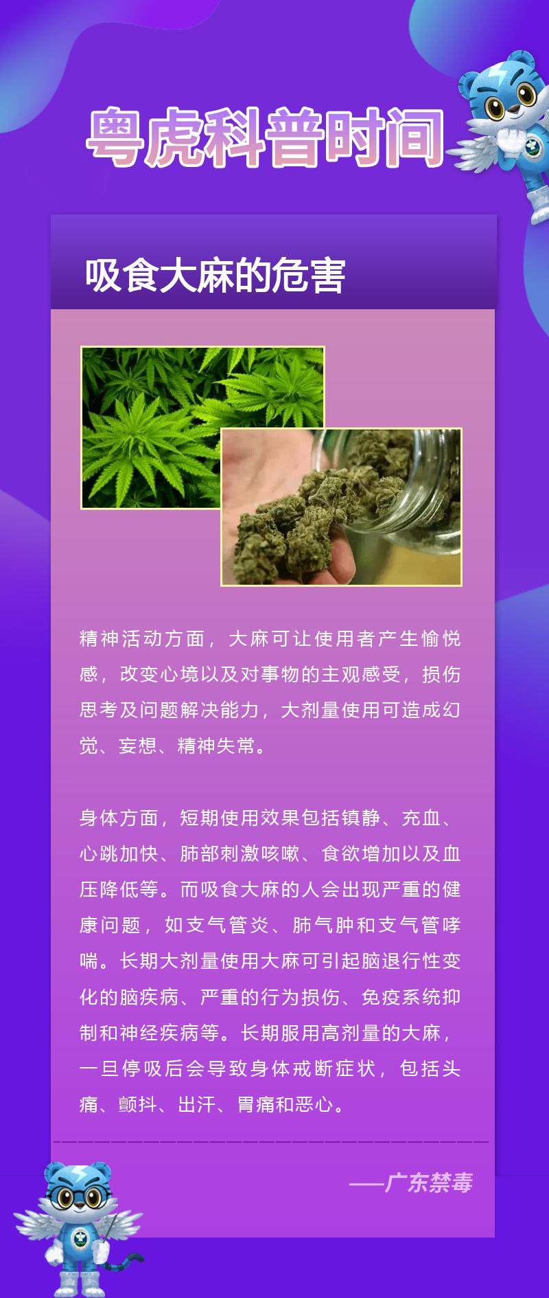泰国大麻合法化对中国游客的影响,泰国大麻合法化对中国的影响分析