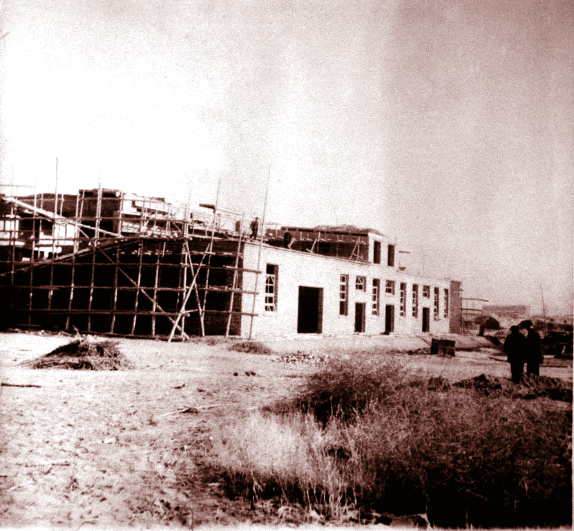 65年，这家深圳企业如何从“拓荒牛”成为“湾区先锋”？