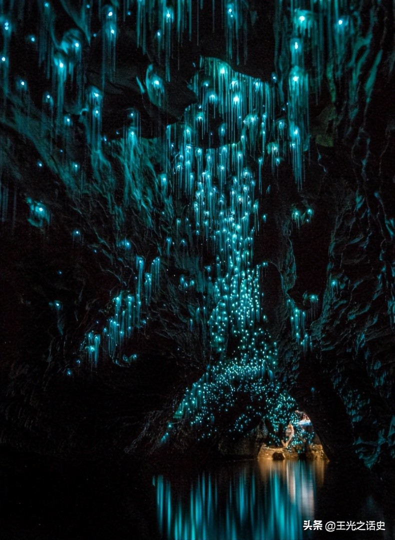 孤悬海外的新西兰,闷声发大财的最好代表