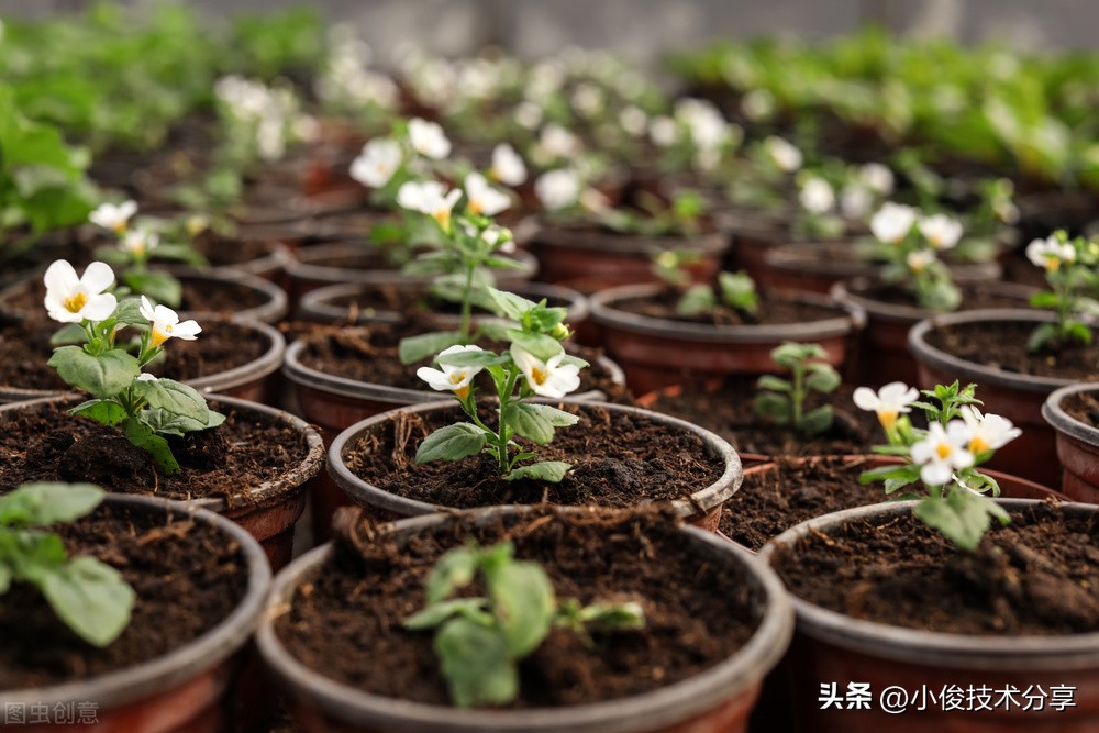 平常购物切记不要买这5样东西,千万不要买的4种东西