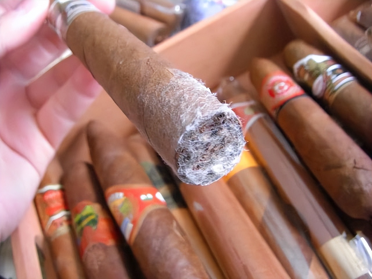 70种香烟被列入黑名单,被列为黑名单的7种香烟